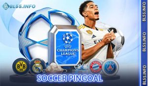 Soccer pingoal